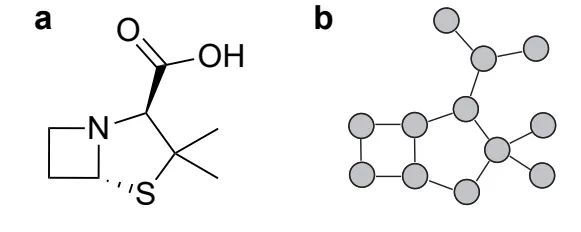 Exemplary molecular representations for a selected molecule a. Two-dimensional depiction b. Molecular graph (2D) composed of vertices (atoms) and edges (bonds). (Atz et al., 2021)